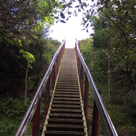 Die Bestattungsvorsorge